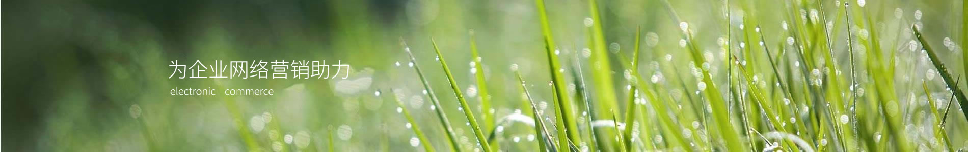 ̫ԭ滷Ƽ޹˾